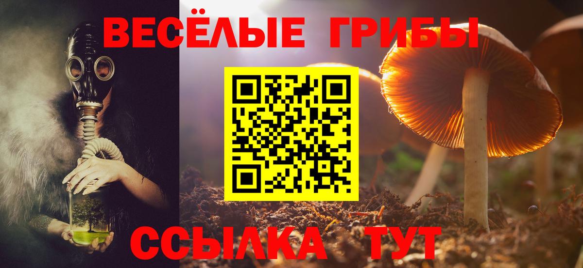Галлюциногенные грибы ЛСД  Вход с VPN  Бузулук 